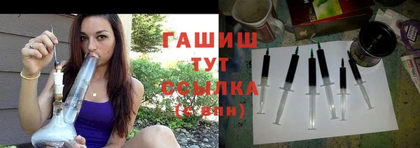 индика Гусев