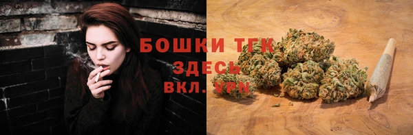 индика Гусев