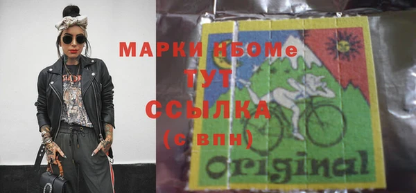 индика Гусев