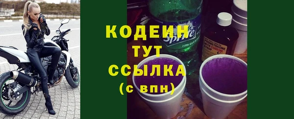 гидра Гусиноозёрск