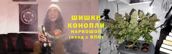 индика Гусев