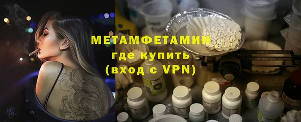 индика Гусев