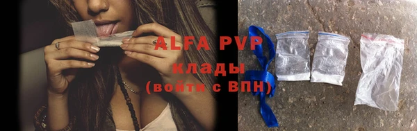 индика Гусев