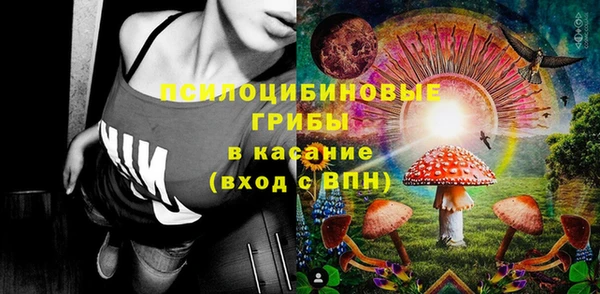 гидра Гусиноозёрск