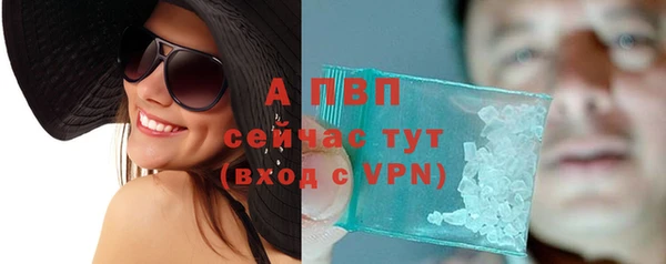 индика Гусев