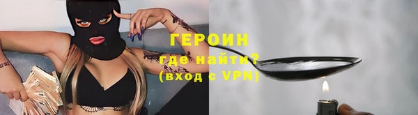 индика Гусев