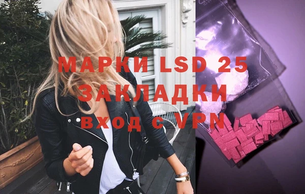гидра Гусиноозёрск