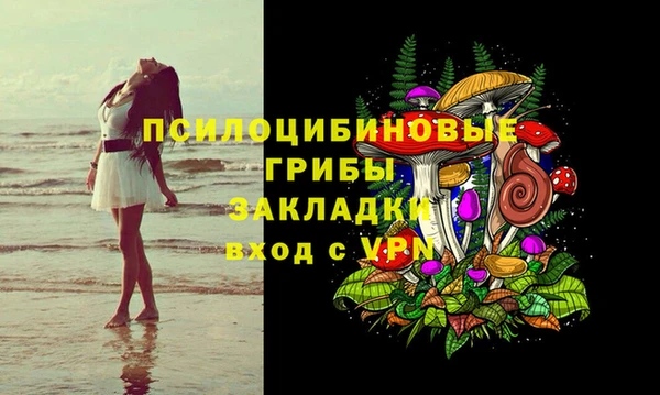 индика Гусев