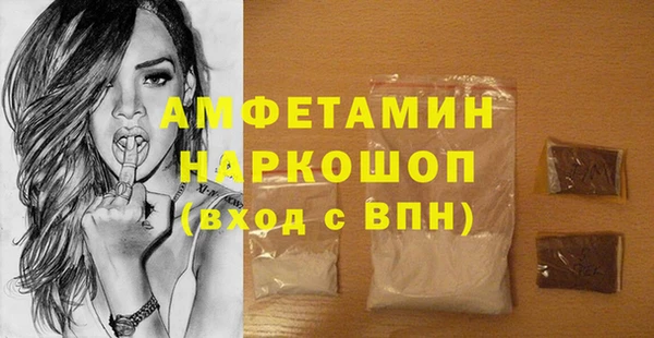 индика Гусев