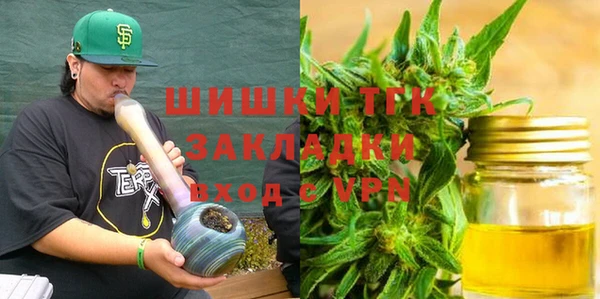 индика Гусев