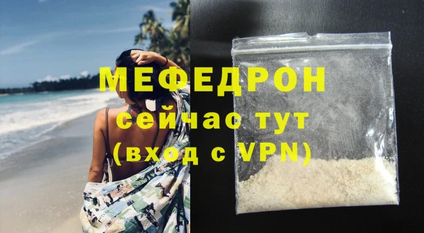 индика Гусев