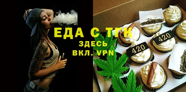 индика Гусев