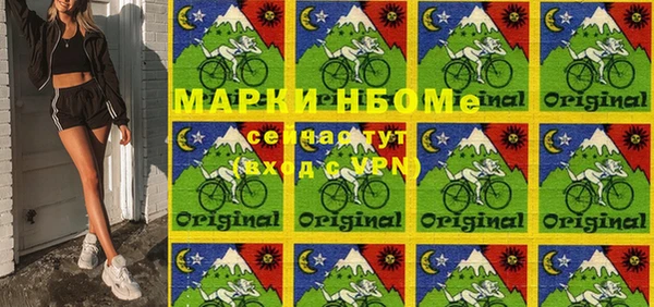 индика Гусев