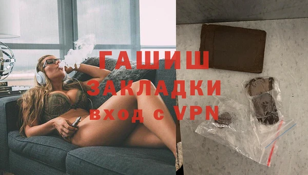 индика Гусев