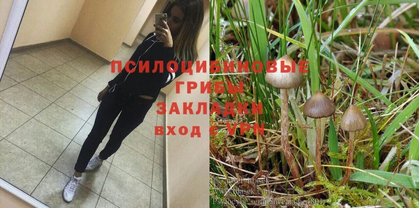прущая мука Гусь-Хрустальный