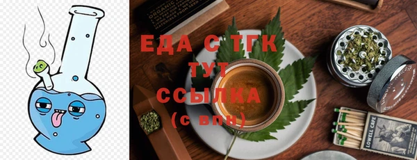 гидра Гусиноозёрск
