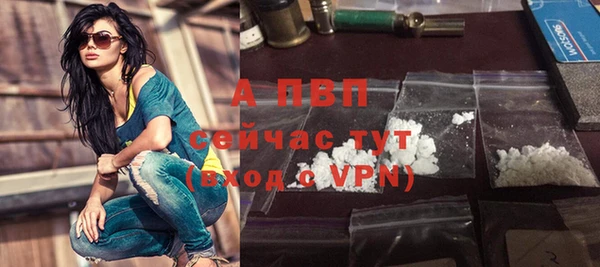 индика Гусев