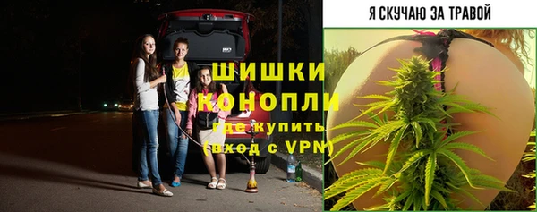 прущая мука Гусь-Хрустальный