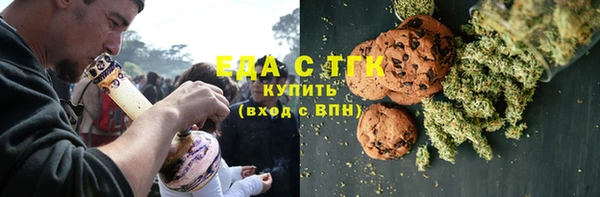 индика Гусев