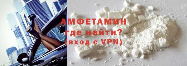 индика Гусев