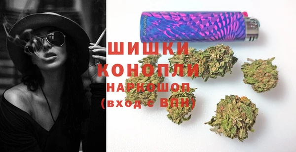 индика Гусев